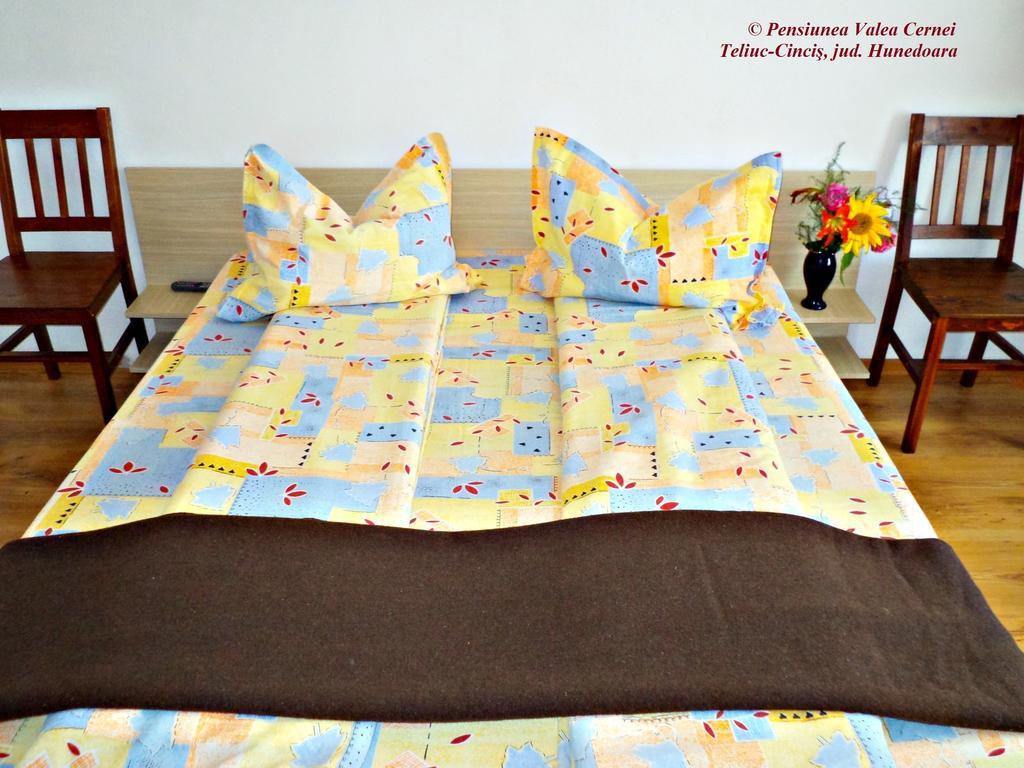 Pensiunea Valea Cernei Teliucu Inferior Habitación foto