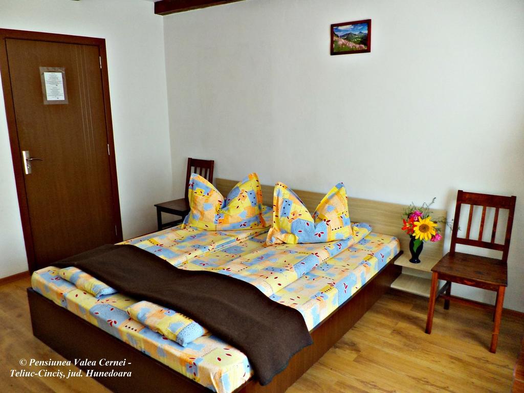 Pensiunea Valea Cernei Teliucu Inferior Habitación foto