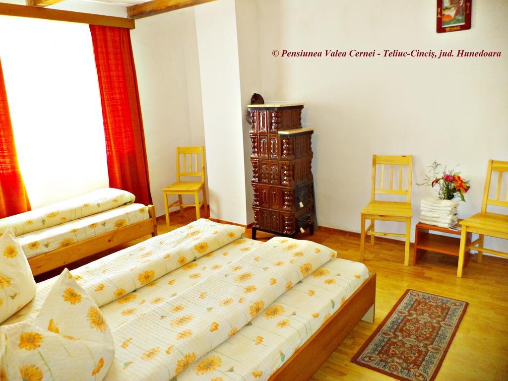 Pensiunea Valea Cernei Teliucu Inferior Habitación foto