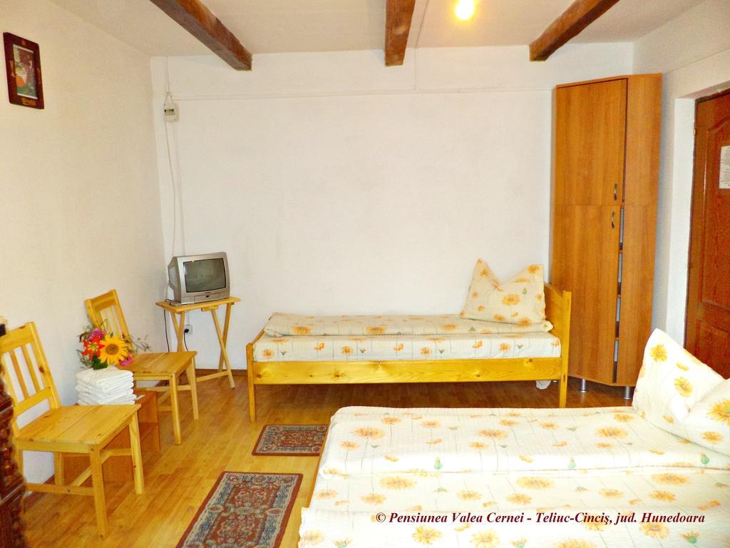 Pensiunea Valea Cernei Teliucu Inferior Habitación foto