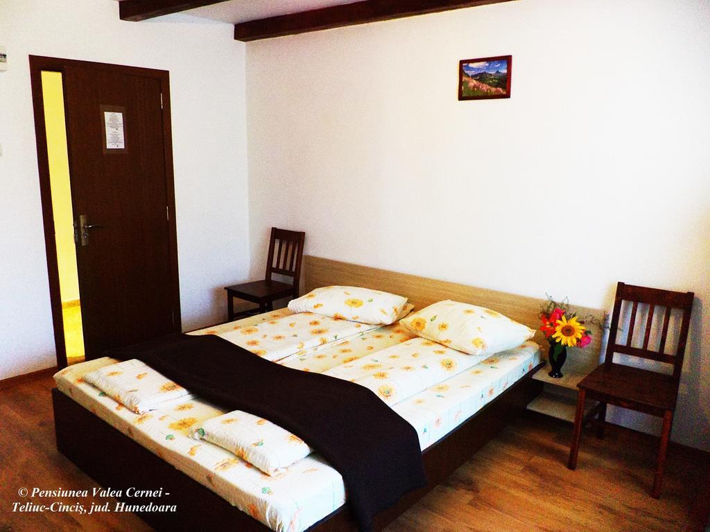 Pensiunea Valea Cernei Teliucu Inferior Habitación foto